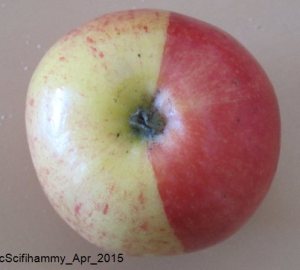 Snow White's Apple 2